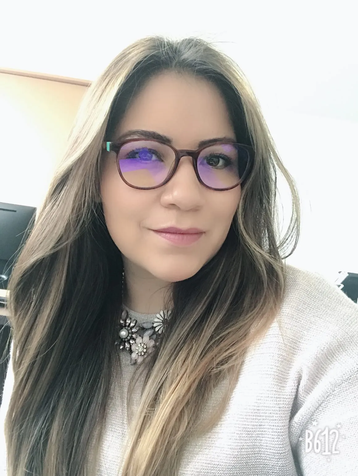 Mtra. Diana Pérez Morán